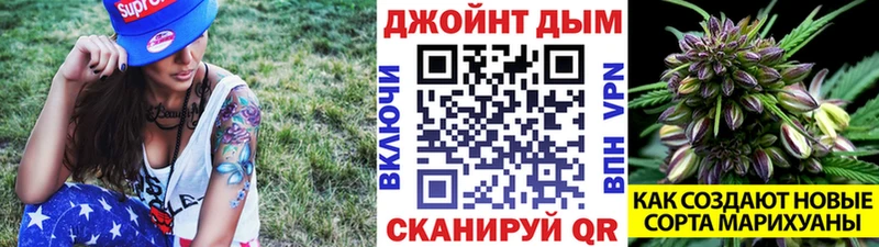 Каннабис ГИДРОПОН Юрьевец